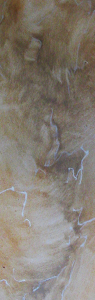 Maricopa County Decorative Painters